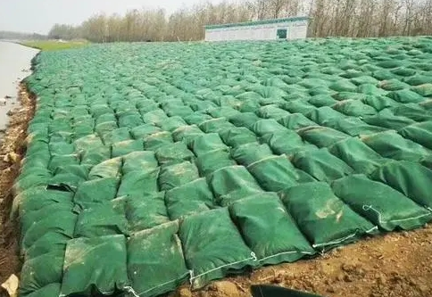 生态袋的用途