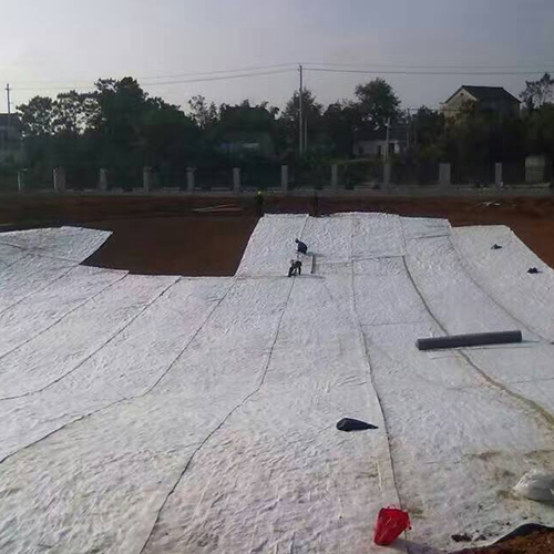  防水毯施工方案